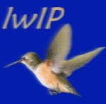 lwIP TCP/IP